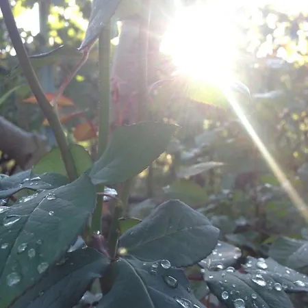 Casa Mala Holiday home Zadar