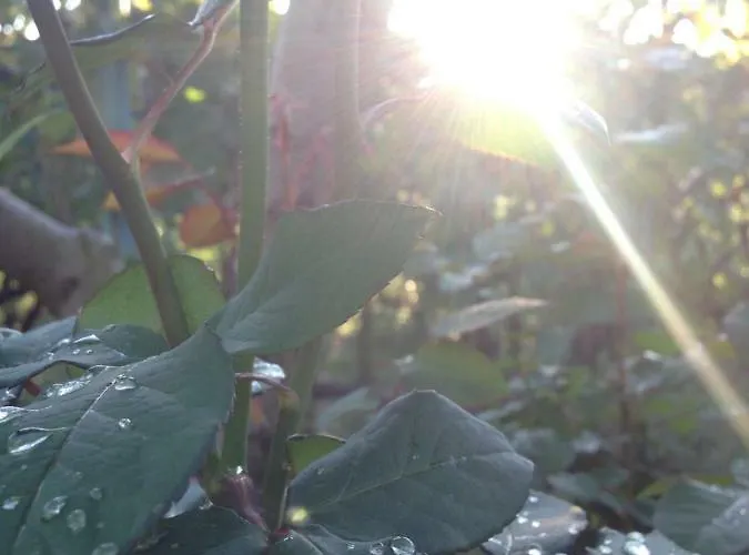 Casa Mala 펜션 자다르